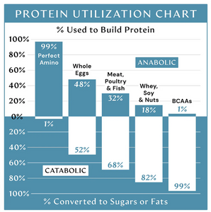 Body Health Perfect Amino